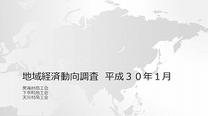 伴走型小規模事業者支援推進事業　地域経済動向調査結果平成30年1月