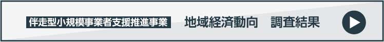 伴走型小規模事業者支援推進事業　地域経済動向調査結果