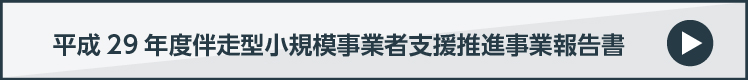 平成29年度伴走型小規模事業者支援推進事業報告書